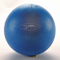 FitBall Mini